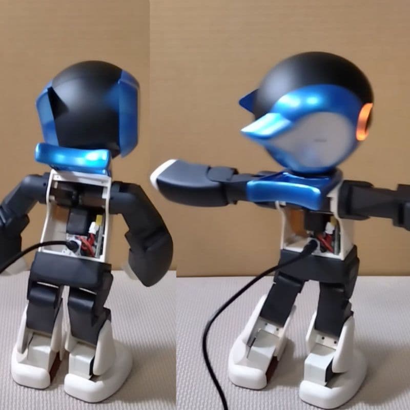 ロビ 完成品 (2電源) ブルー