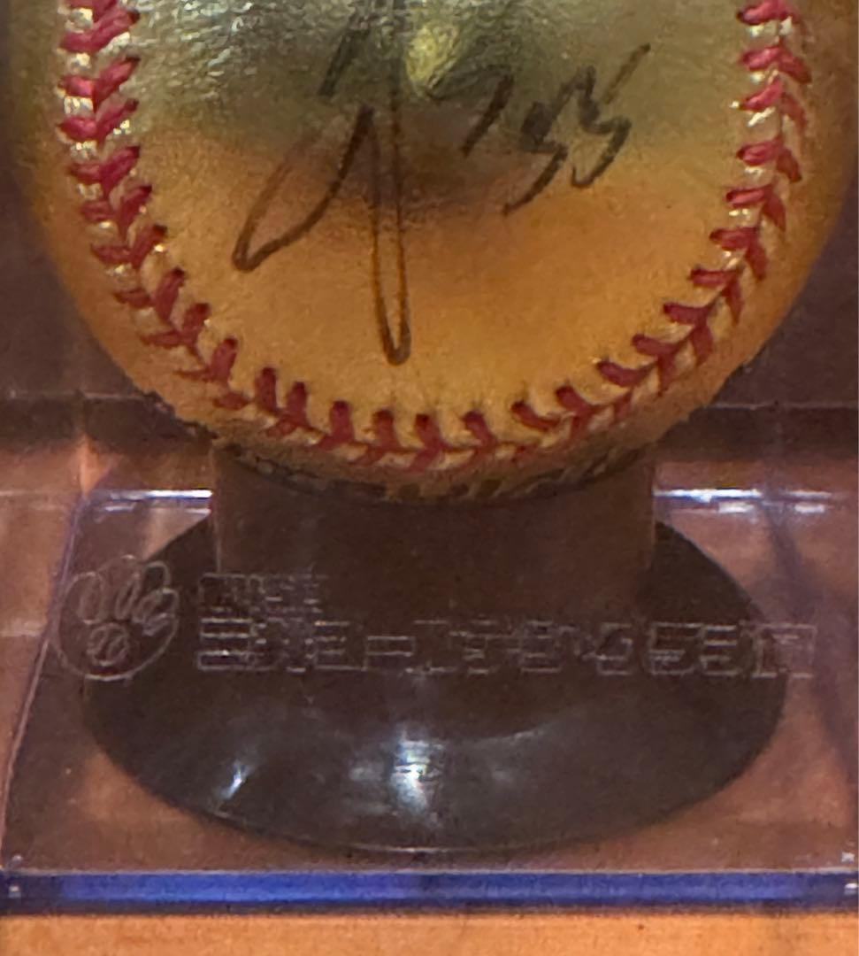 秋山翔吾選手　三井ゴールドグラブ賞直筆サインボール 2016年　西武ライオンズ