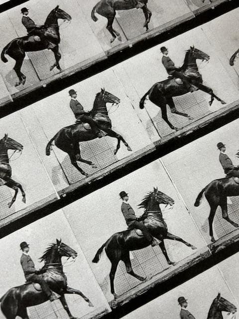 From the series /エドワード マイブリッジ/ポスター