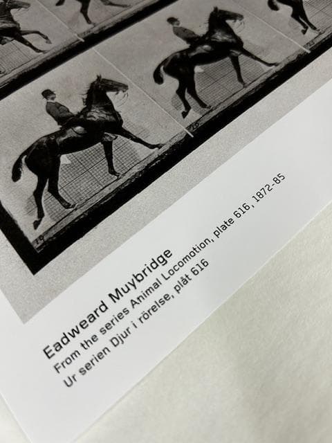 From the series /エドワード マイブリッジ/ポスター