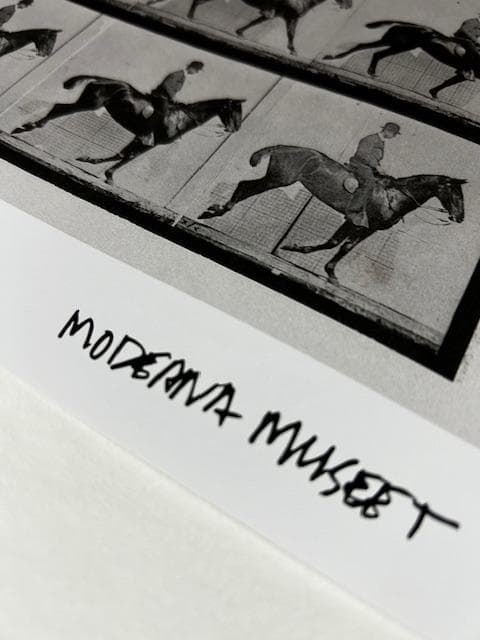 From the series /エドワード マイブリッジ/ポスター