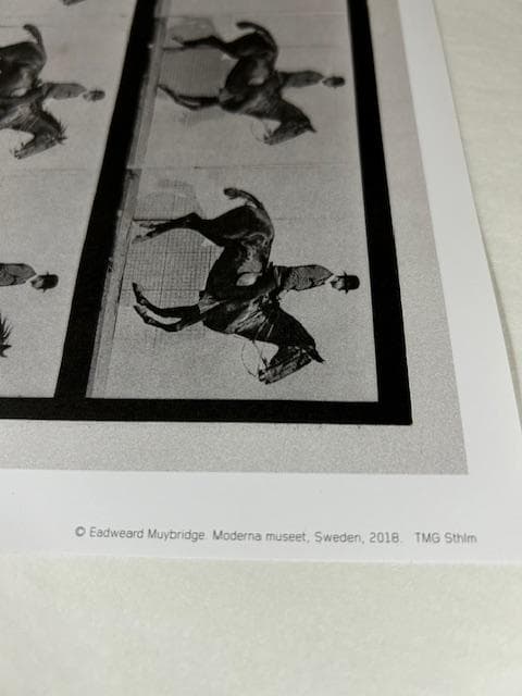 From the series /エドワード マイブリッジ/ポスター