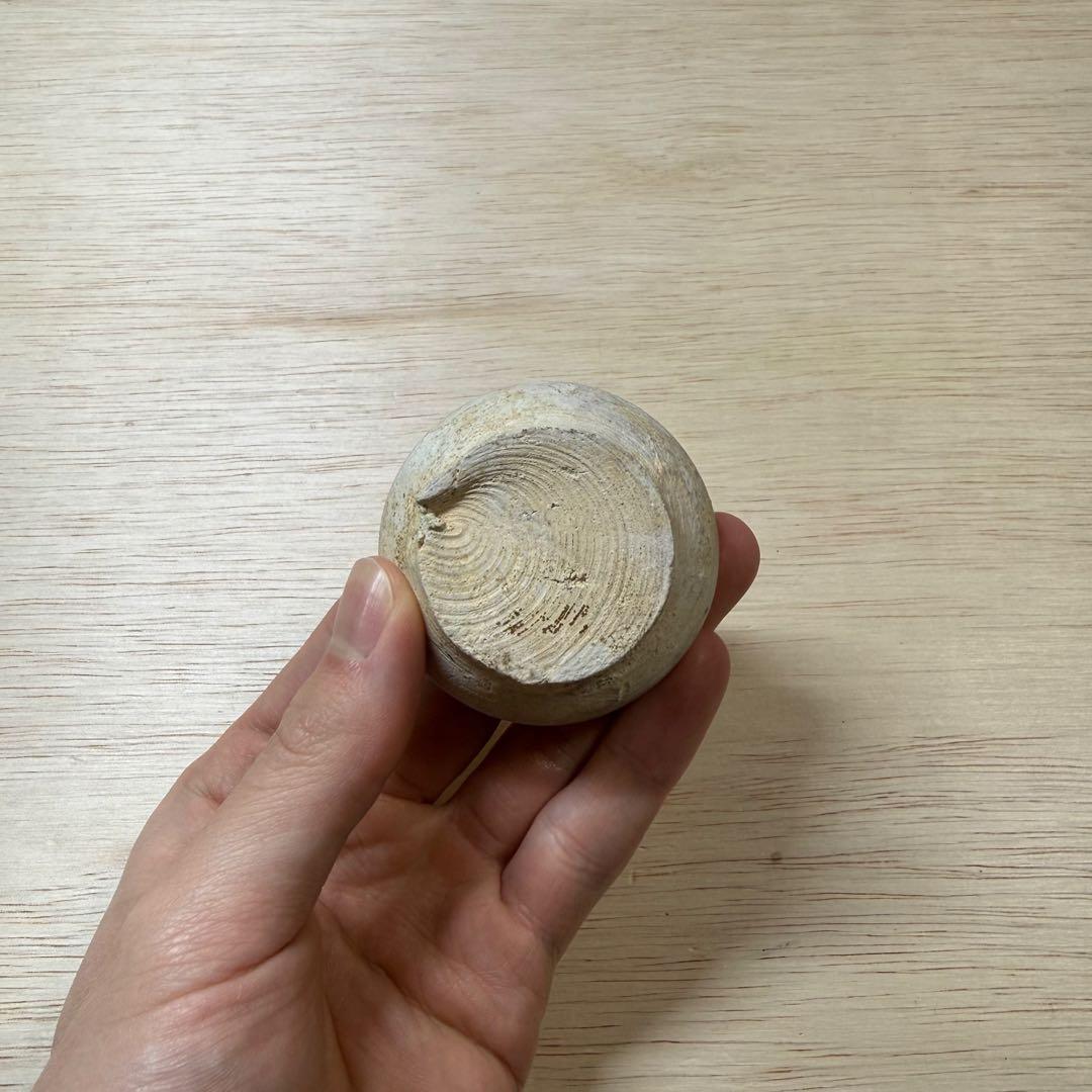 古瀬戸 小壷 蓋物 鎌倉時代 山茶碗 古美術 骨董 古常滑 古信楽 古美濃