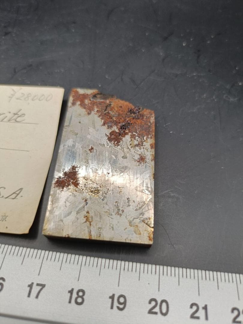 鉄隕石 Odessa Meteorite 48.8g 凡地学研究社 ラベル付き