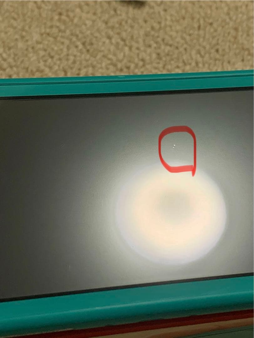 Nintendo Switch Lite ターコイズ本体 初期化済み