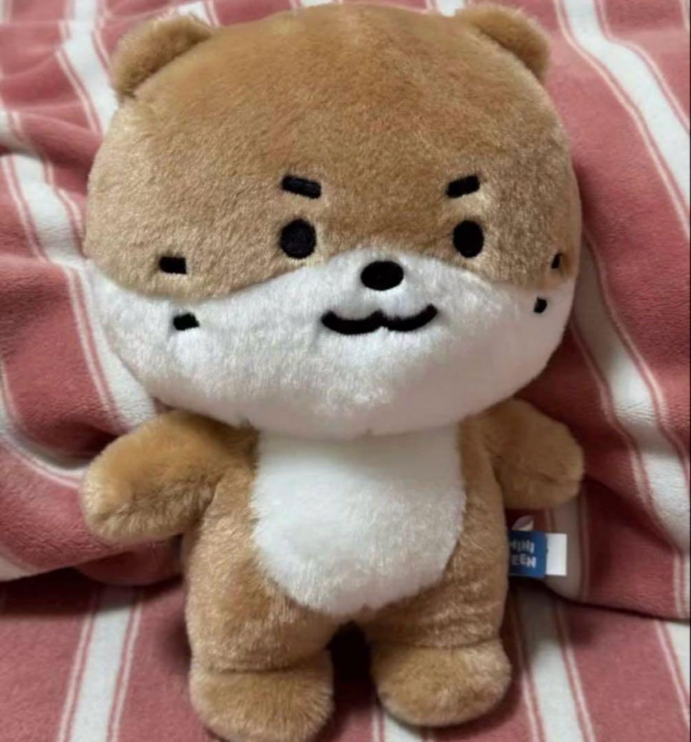 miniteen ミニティーン DINO ディノ セブチ