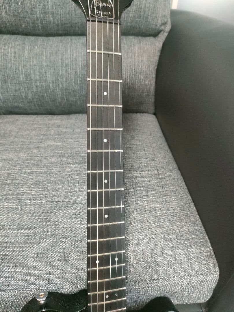 希少！Framus Dシリーズ Panthera Supreme　フラマス