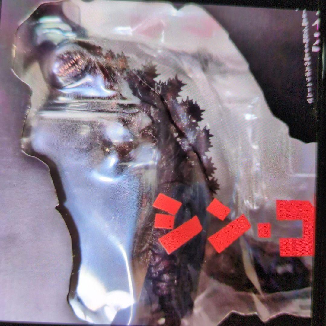 SHモンスターアーツ。ゴジラ2016.第4形態夜間戦闘バージョン。シン.ゴジラ。