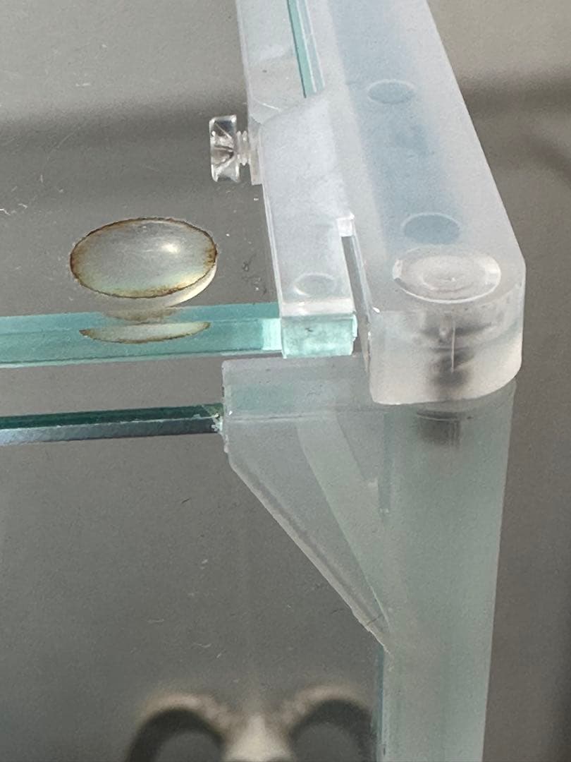 DOOA ネオグラスパルダ水槽60センチADA アクアデザインアマノ難あり