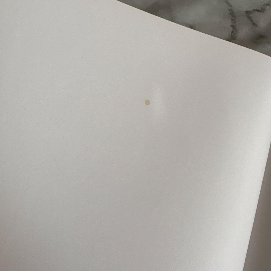 Yes. Iam Mina. 写真集　ミナ