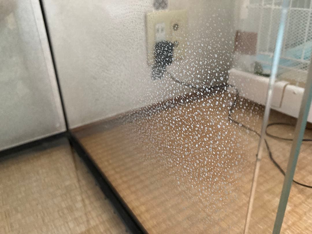 10/10㈮まで！エキゾテラ GEX EXOTERRA グラステラリウム4530