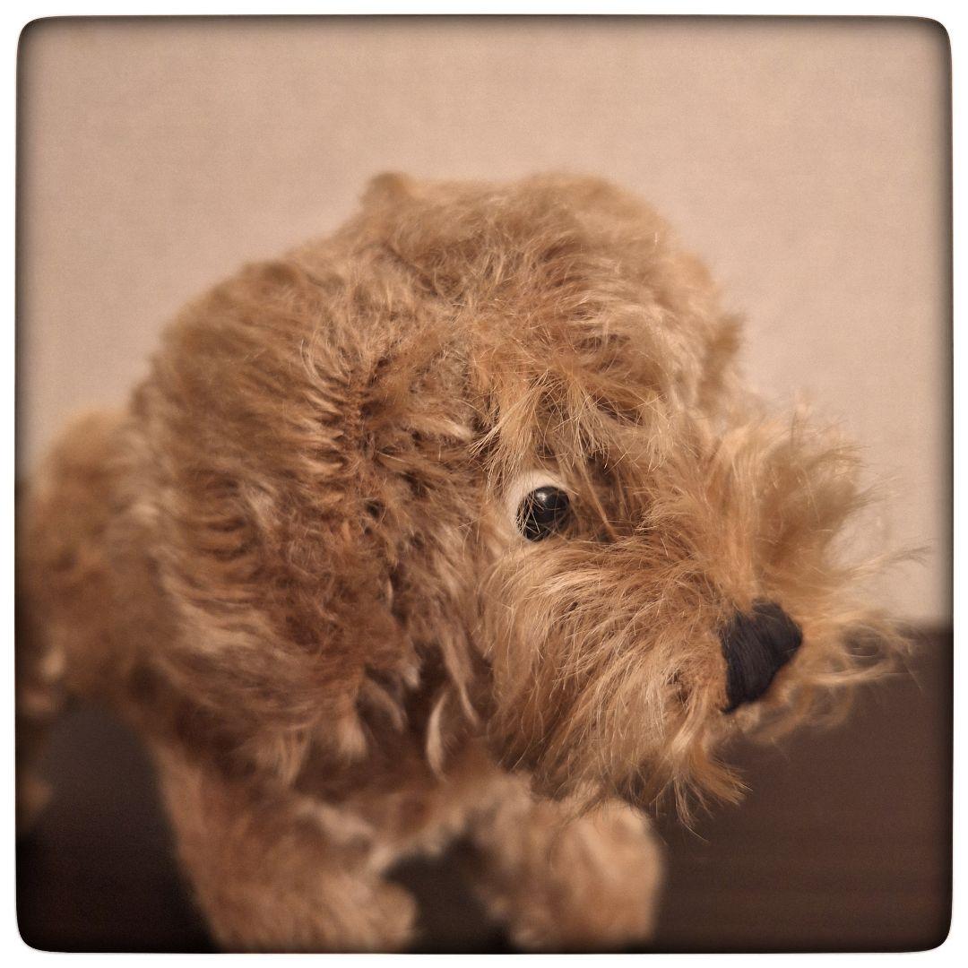 【 犬 Raudi グレー ダックスフント 20cm 】 シュタイフ