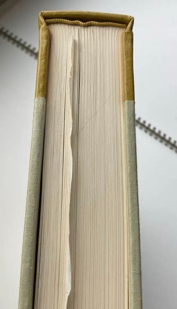 希少本　小絲源太郎「小絲源太郎画集」求龍堂（1974）