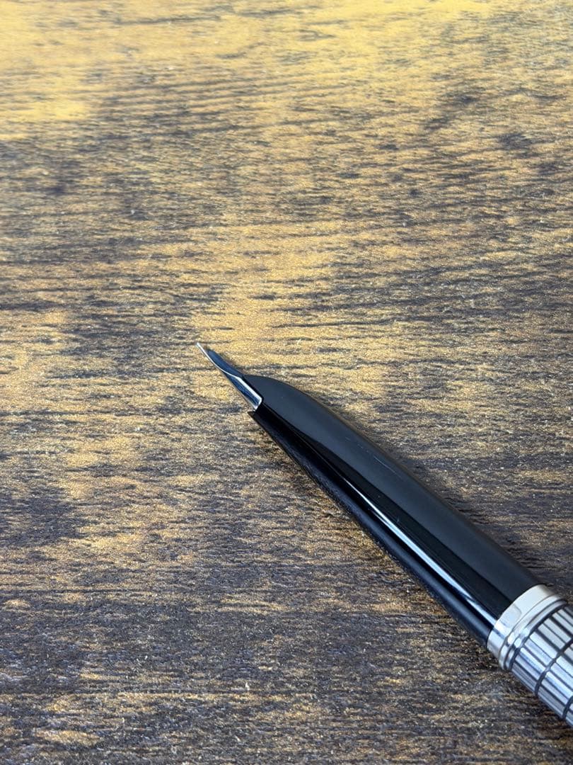 筆記確認&洗浄済　1975年製　全蝕刻　エリート　18金　F パイロット　万年筆