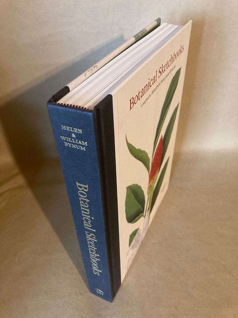 Botanical Sketchbooks 植物　スケッチ　絵画　洋書