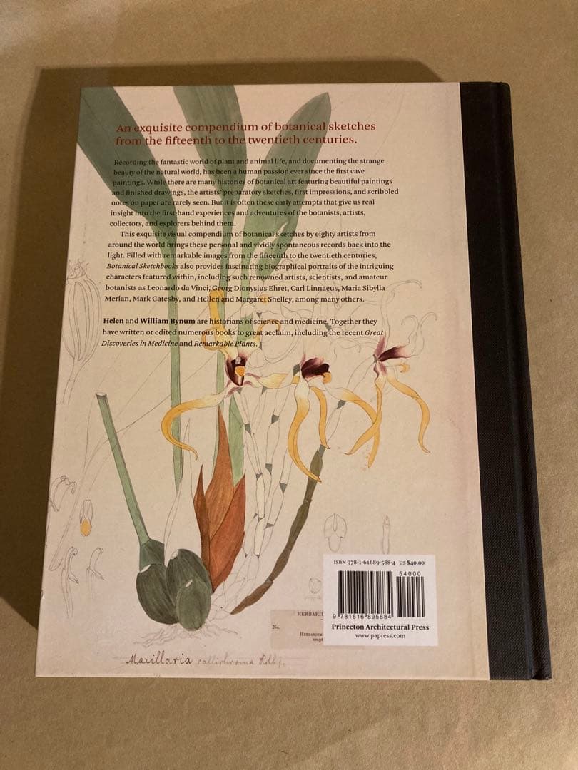 Botanical Sketchbooks 植物　スケッチ　絵画　洋書