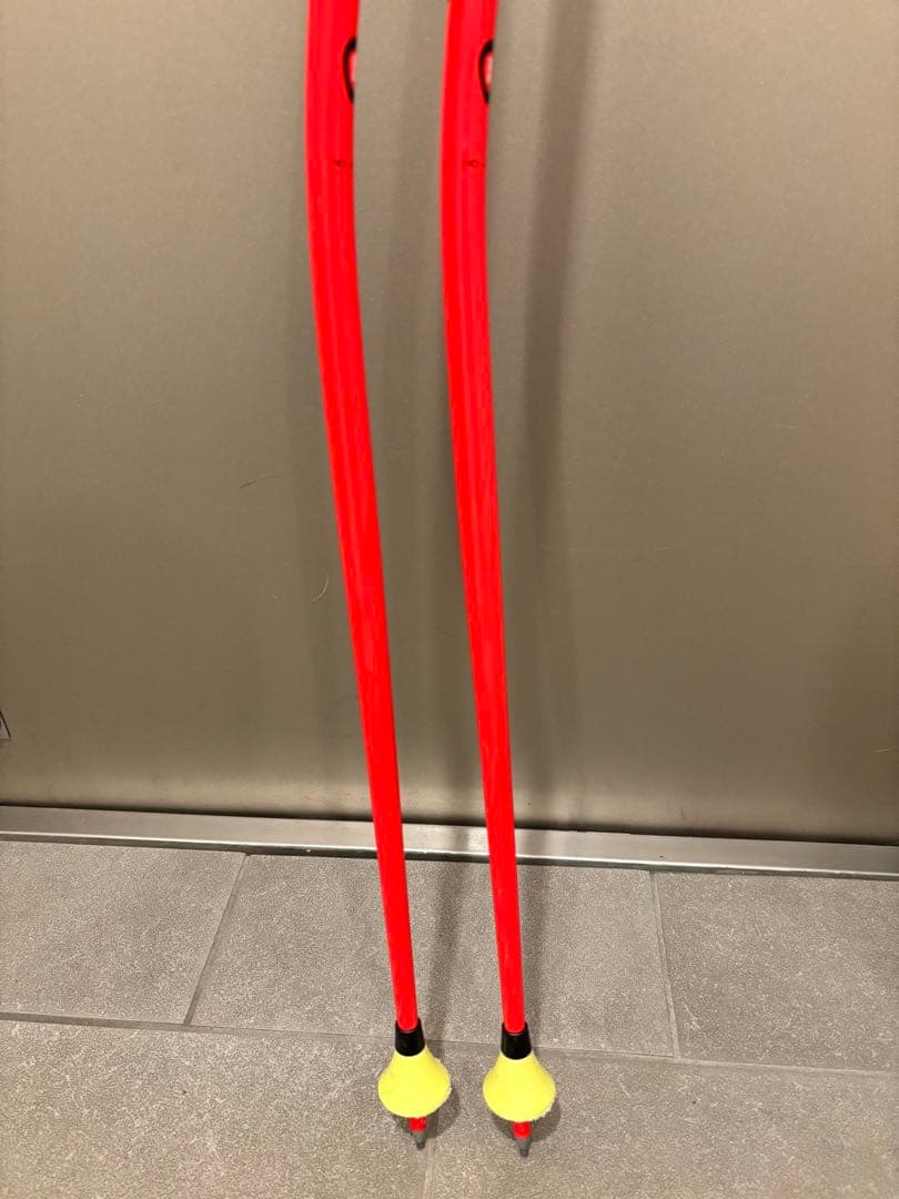 LEKI(レキ)GS 110cm ストラップ付き