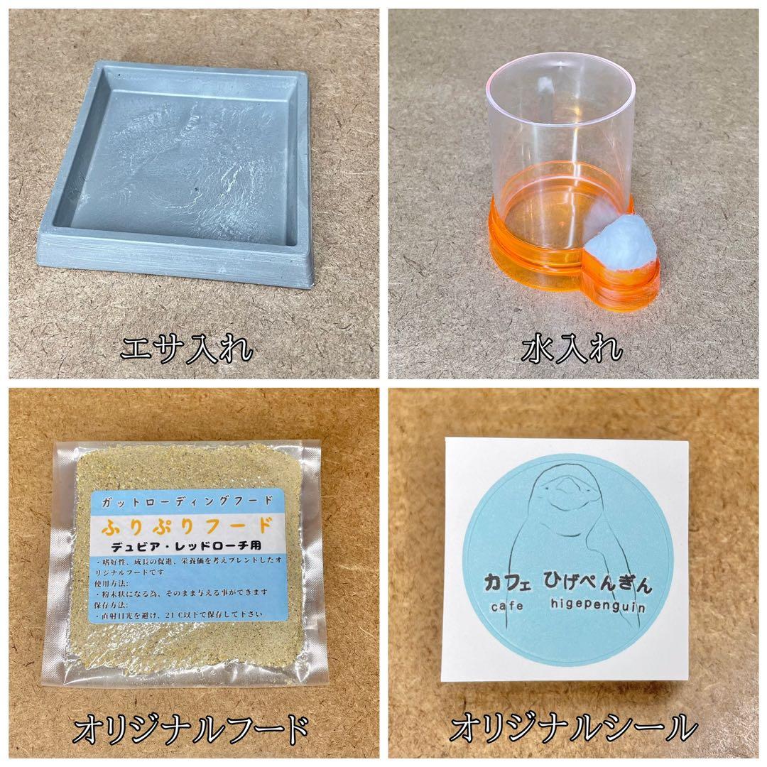 Tさん様　Ｍ (シェ)