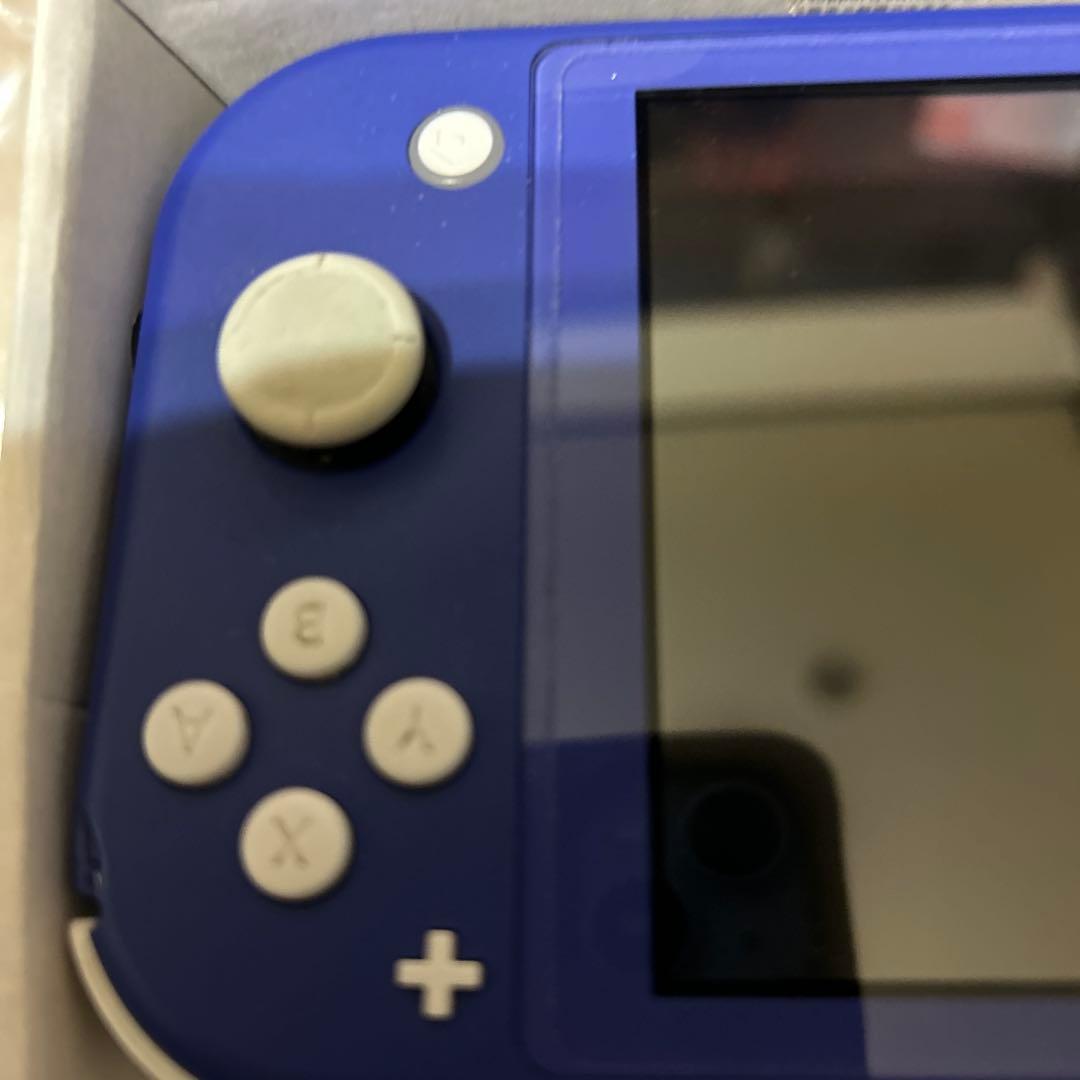 Nintendo Switch Lite 青 不動　水没
