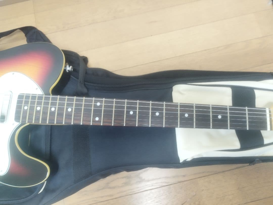 テレキャスター シンライン　Monogram MGT-TH