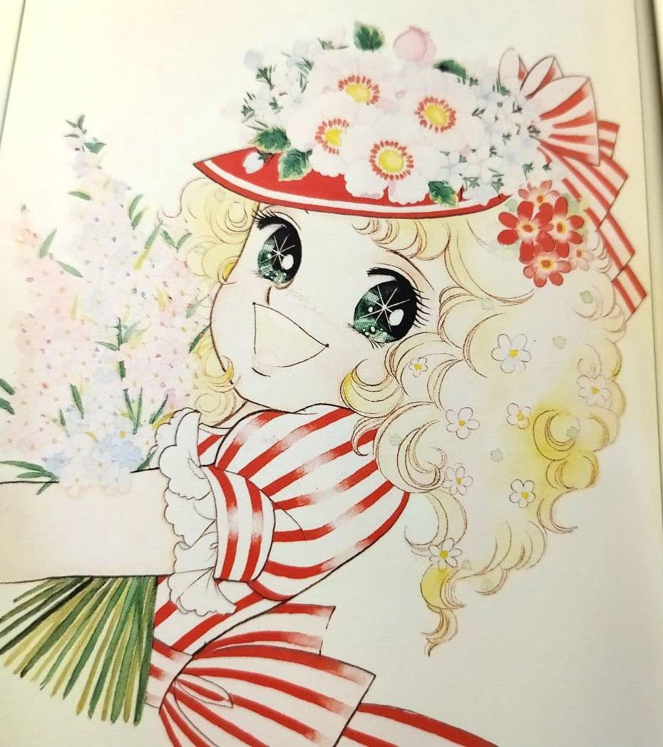 キャンディキャンディ全巻　ハード