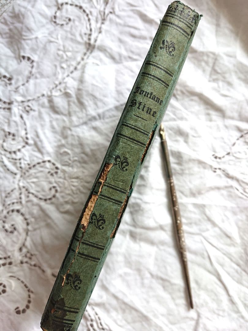 1800年後期 ドイツ 美しい表紙 貴重 アンティーク 洋書