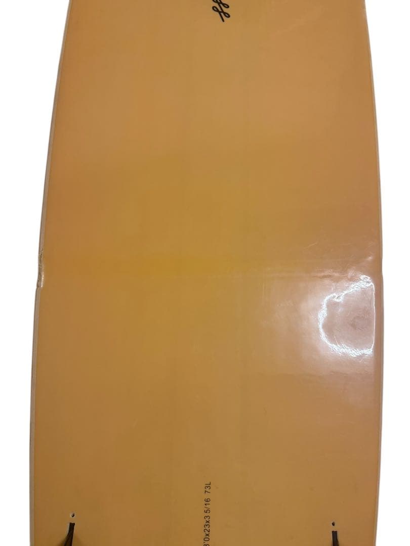 Beach Access ビーチアクセス ロング ソフトボード 8.0 73L