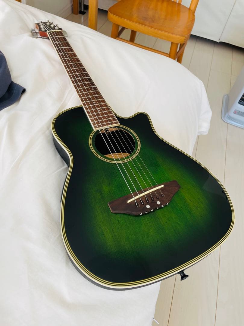 マスタークラフト　ミニエレアコギター