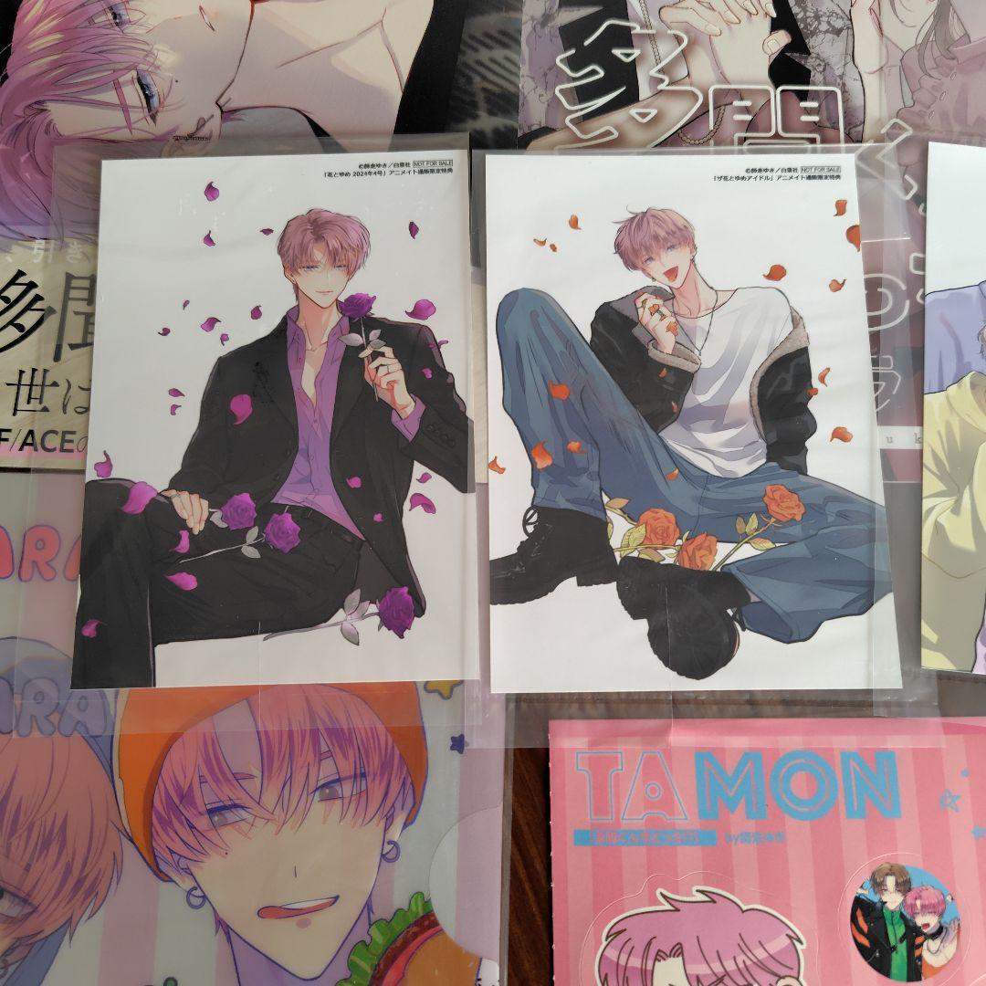 多聞くん今どっち　まとめ売り