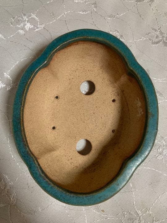 浩山　もっこ　盆栽鉢