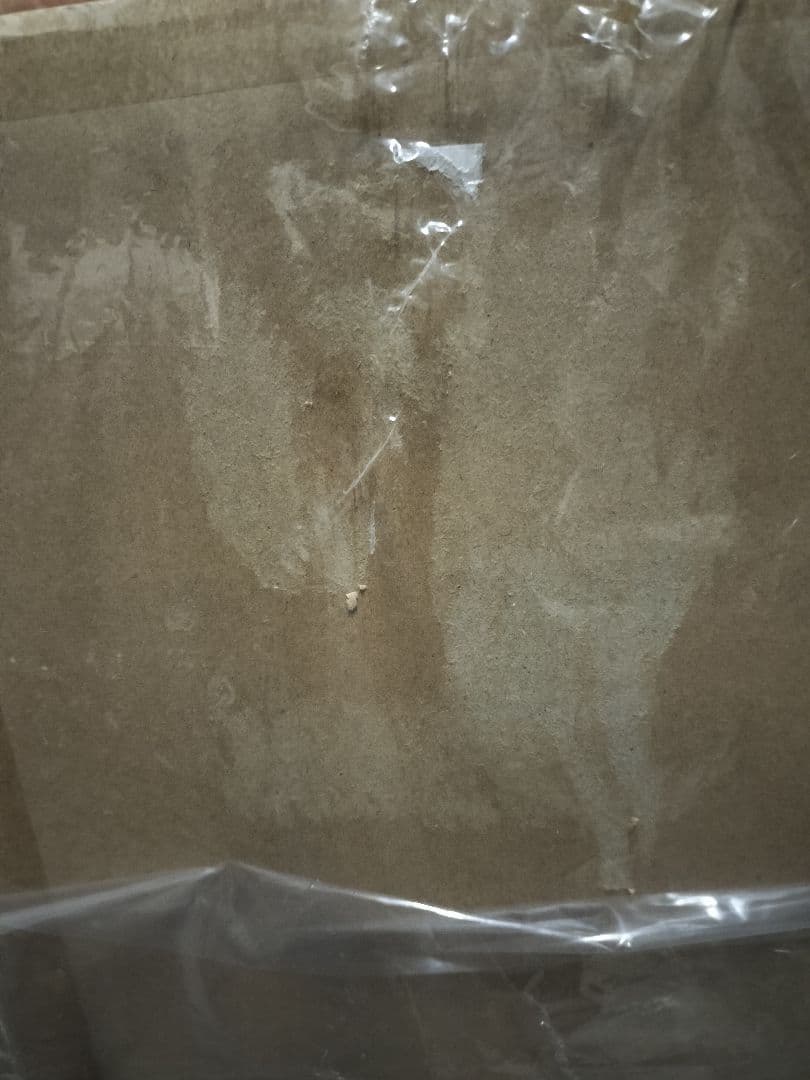 【新品未開封】ポケモンセンターオンライン　ぬいぐるみ 等身大 サーナイト