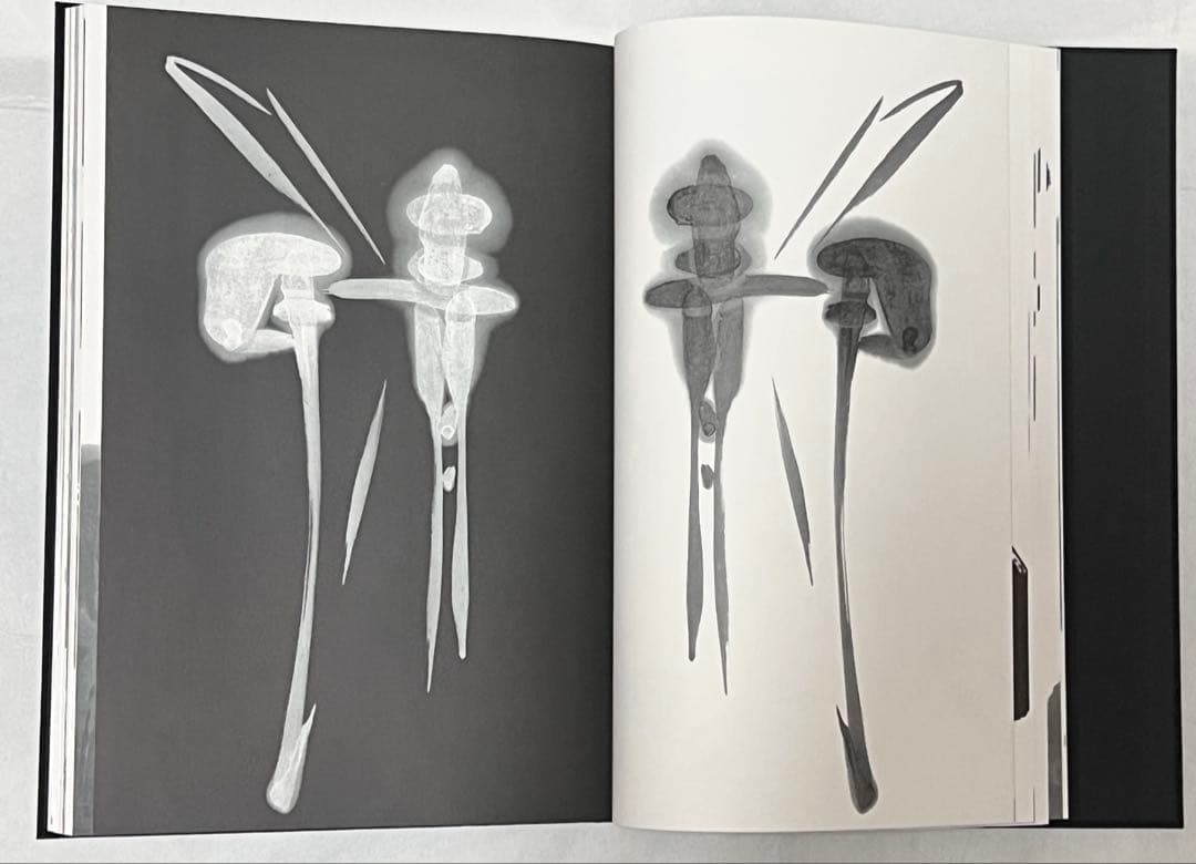 【エディションナンバー入り】長野オリ書道家 増永広春氏作品集 走墨 1999年