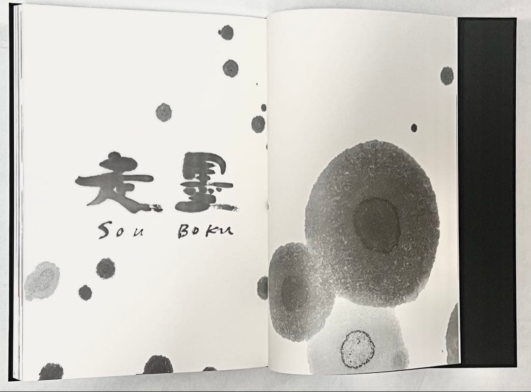 【エディションナンバー入り】長野オリ書道家 増永広春氏作品集 走墨 1999年