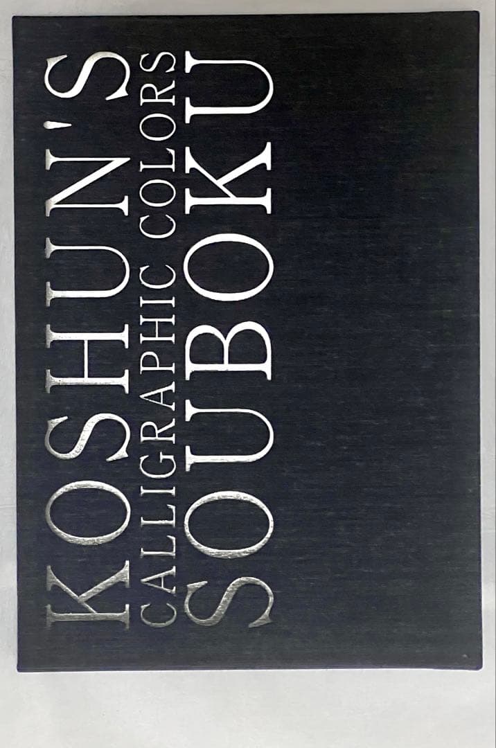 【エディションナンバー入り】長野オリ書道家 増永広春氏作品集 走墨 1999年
