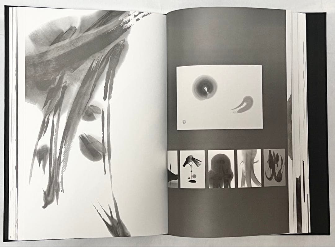 【エディションナンバー入り】長野オリ書道家 増永広春氏作品集 走墨 1999年