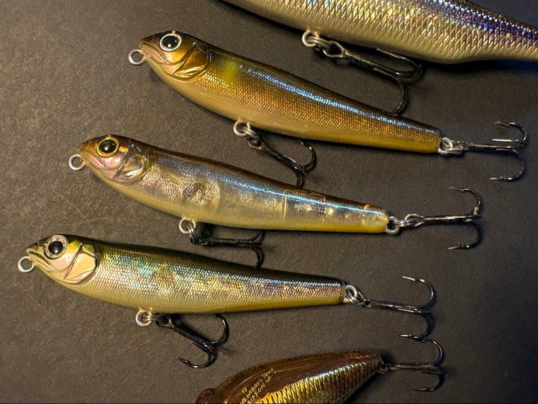 【MEGABASS】COAYU、POP-X など6個セット