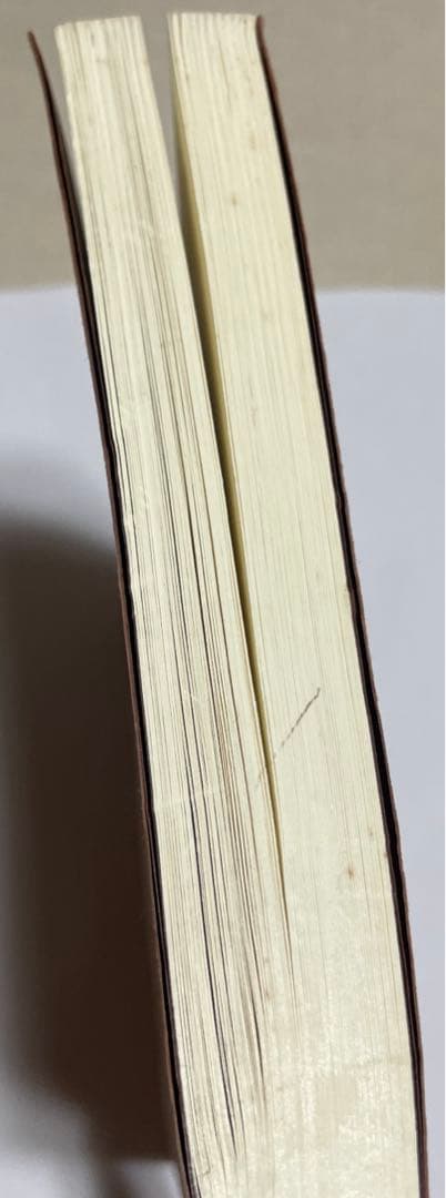 【希少】真実の占星学/橋本 航征