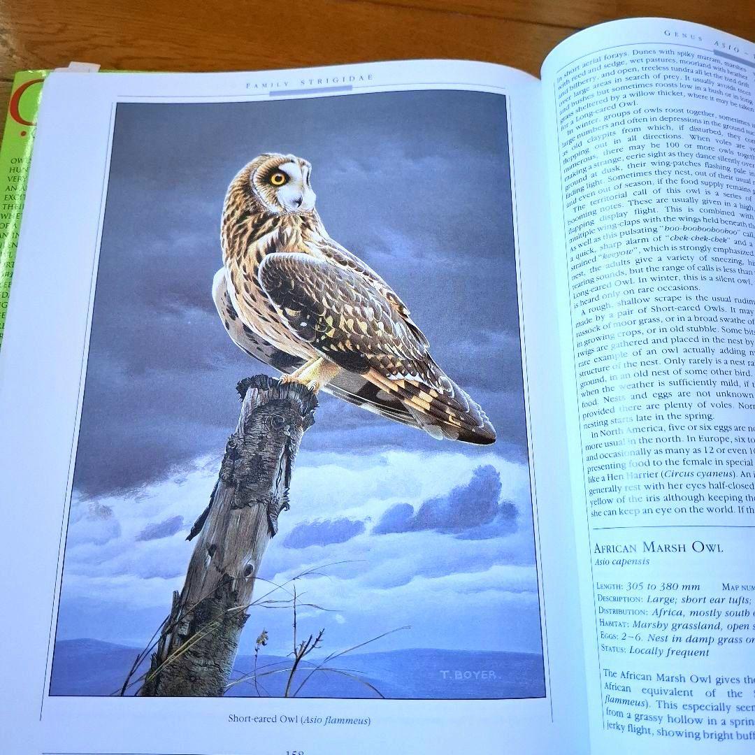 Owls of the World - Rob Hume世界のフクロウ図鑑　洋書