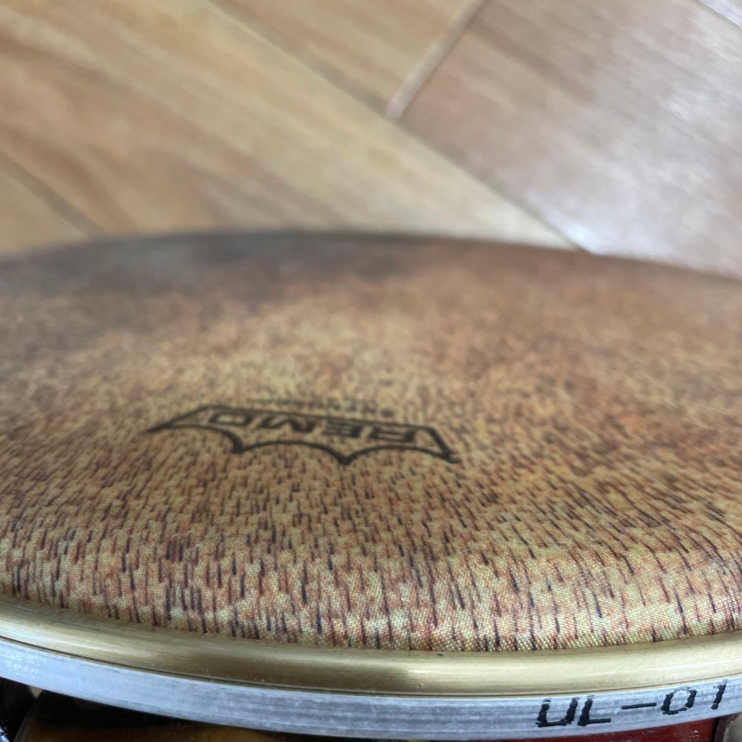 【REMO】ショーロ・パンデイロ PD821081113