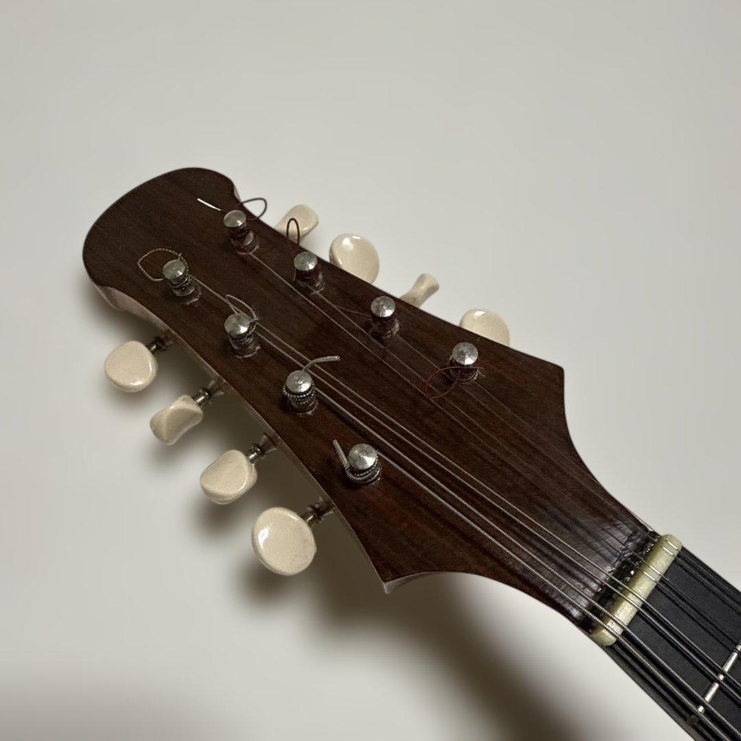 落合忠男 マンドリン M1 落合マンドリン