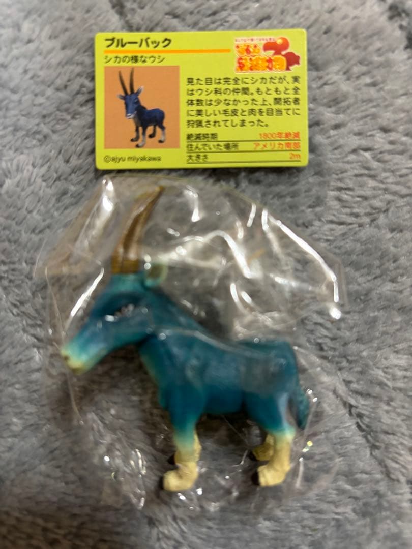 戦え絶滅動物PART3 宮川アジュ　モア　スミロドン　サーベルタイガー　ライオン