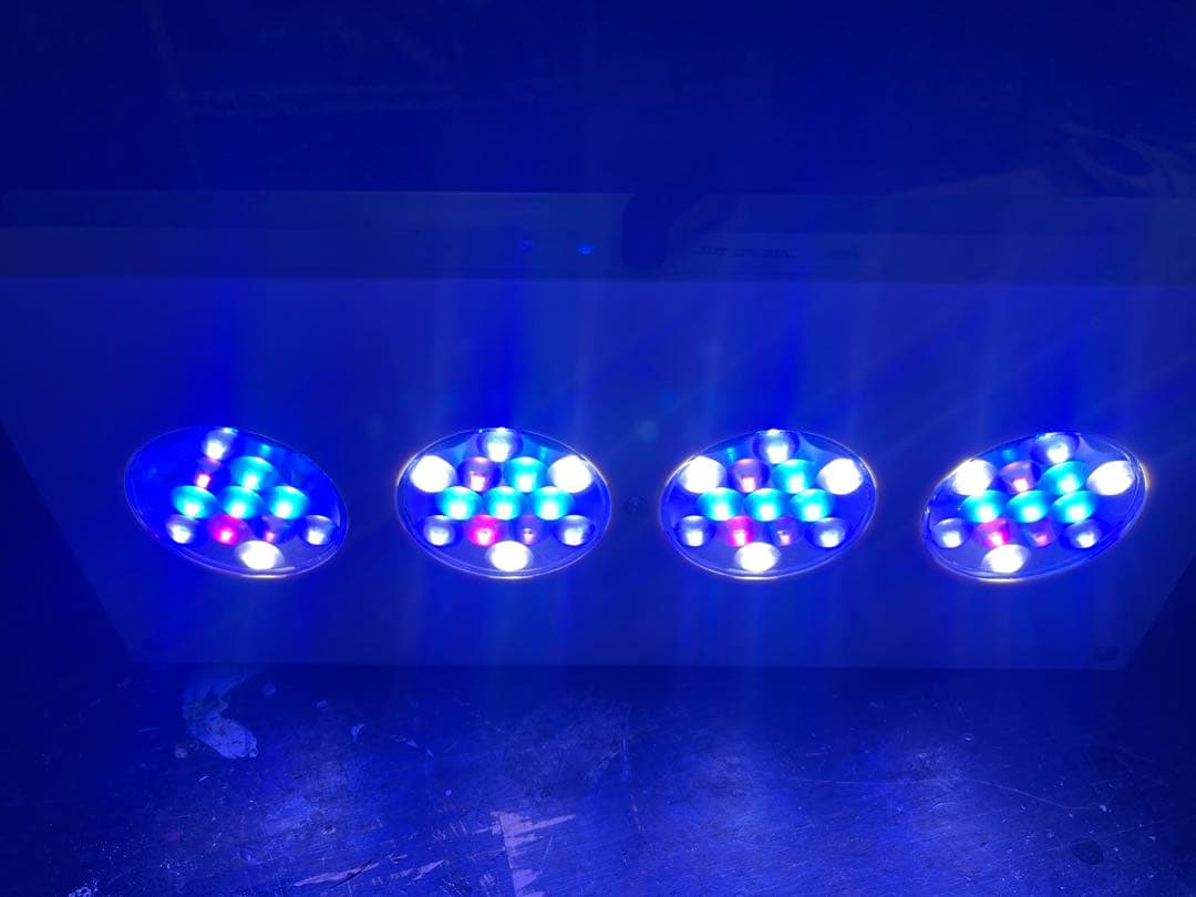 海水魚用品 AI HYDRA HD 52