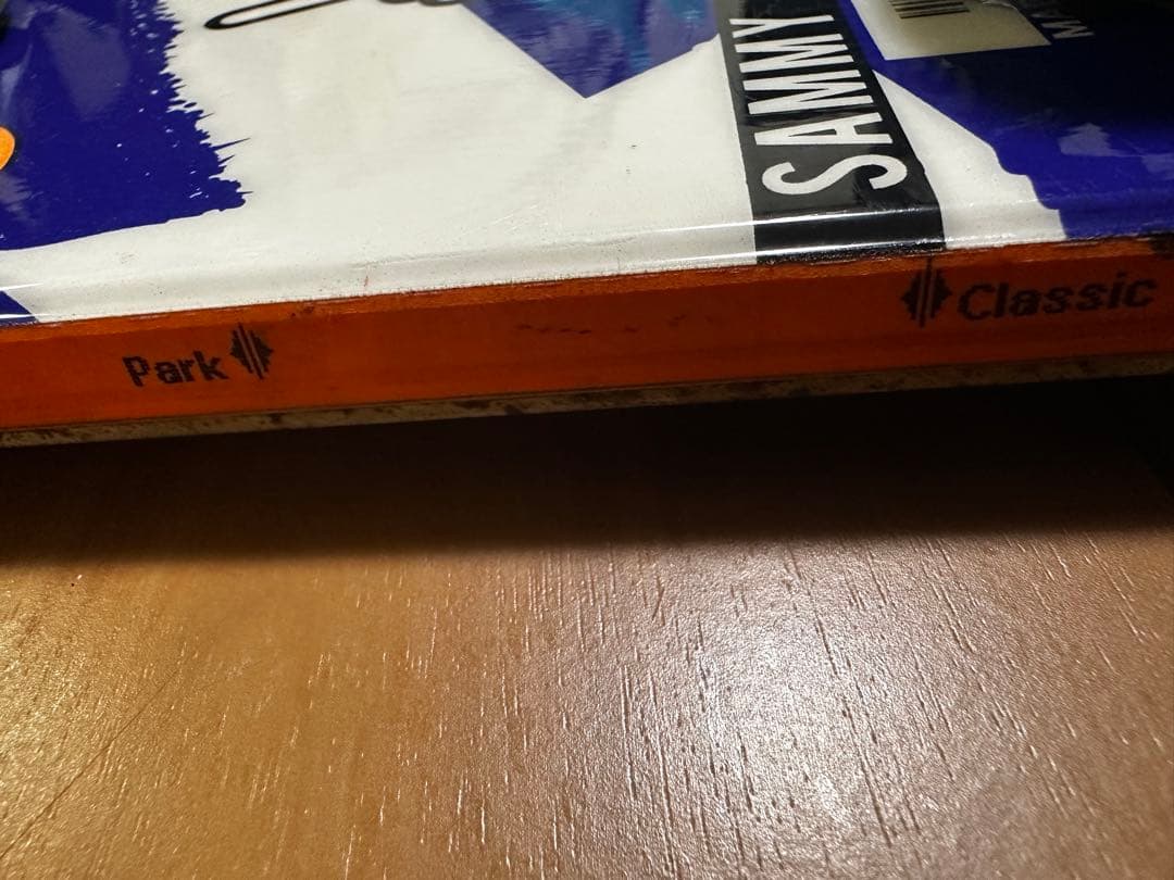 スキー APO SAMMY CARLSON 176cm