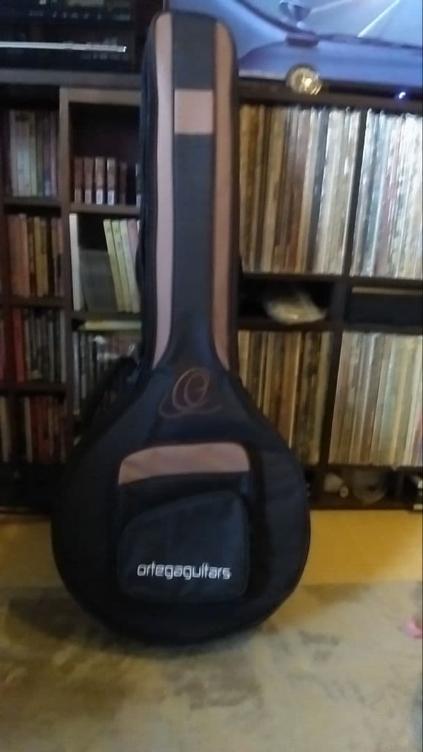 オルテガ6弦バンジョー Raven Seres OBJE 350/6 SBK