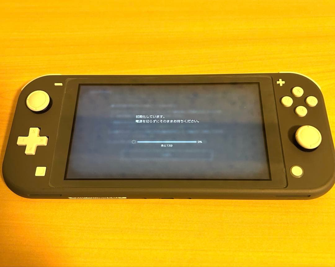 【美品】Nintendo Switch Lite グレー　本体 ライト