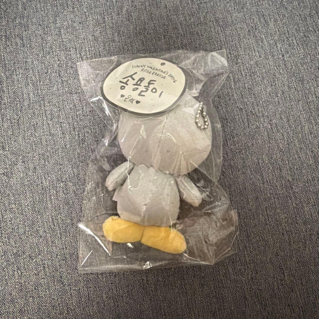 RIIZE ウンソク　ソンヨンドリ　10cmドール　キーリング