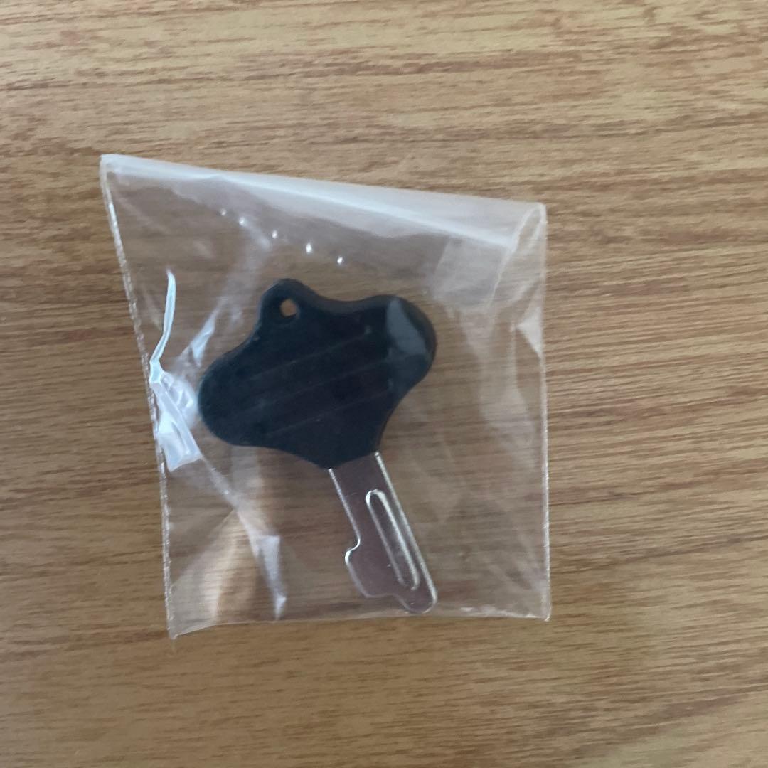 Epiphone Limited Edition ギター