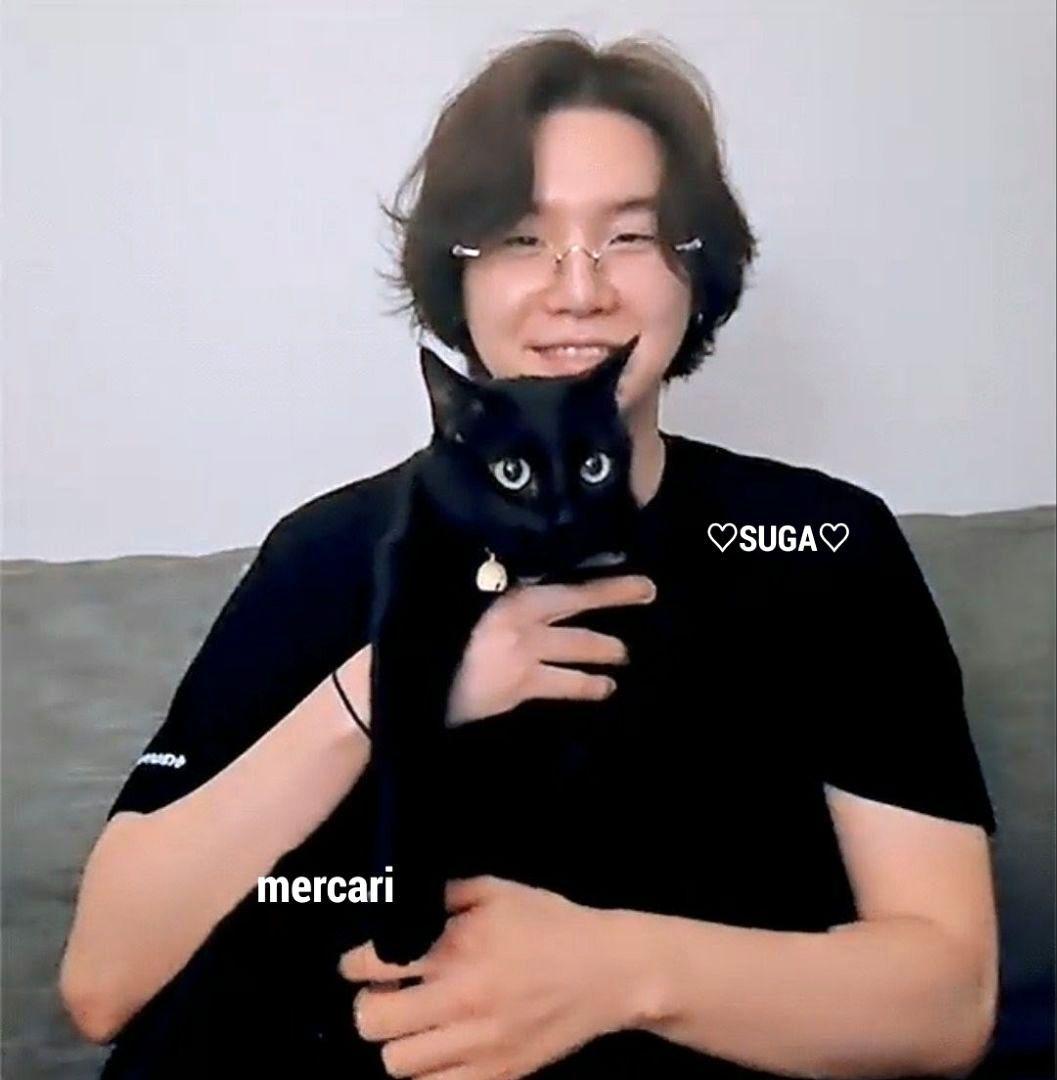 BTS ぬいぐるみ 10cm SUGA AgustD ユンギ テテ ジン ジミ