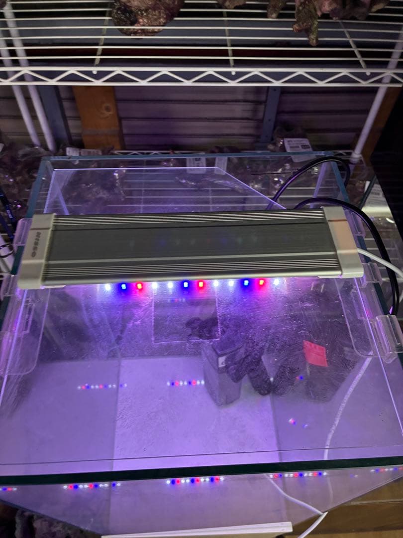 30cmハイタイプ水槽＋台セット 発送不可！