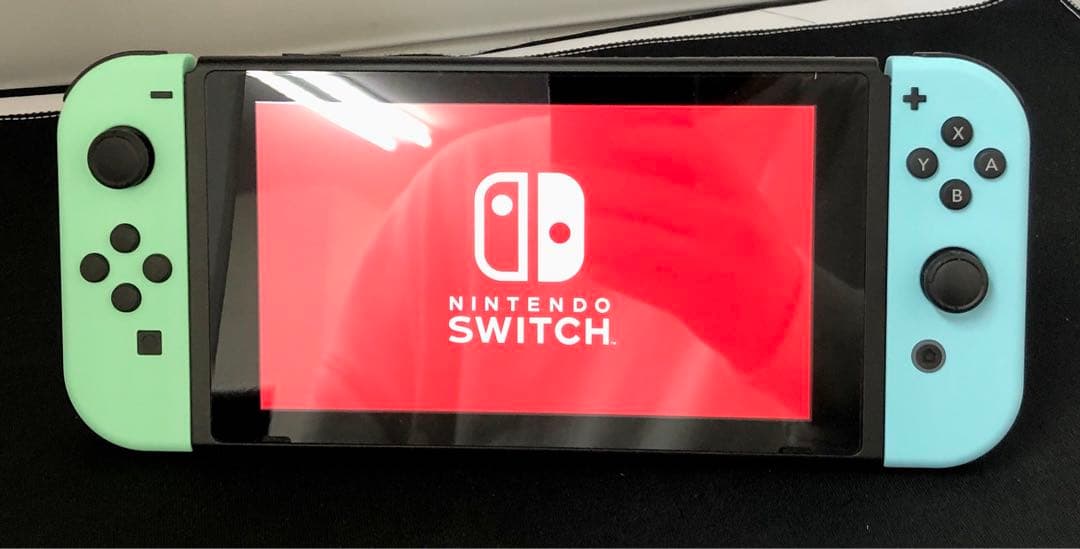 s*h様 ニンテンドースイッチ Nintendo Switch どうぶつの森モデ